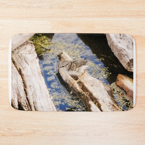 Item preview, Spotted Sandpiper Chick designed and sold by Alyce Taylor.