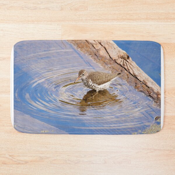 Item preview, Spotted Sandpiper designed and sold by Alyce Taylor.