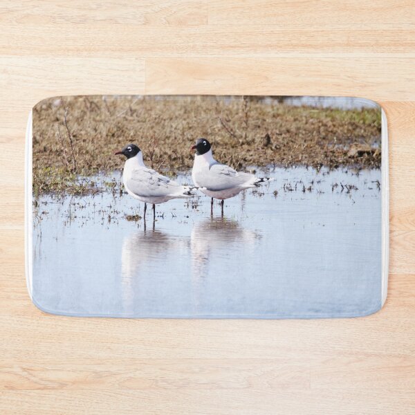 Item preview, Franklin's Gulls designed and sold by Alyce Taylor.