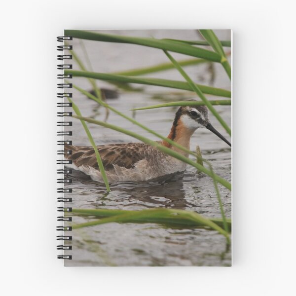Item preview, Wilson's Phalarope designed and sold by Alyce Taylor.