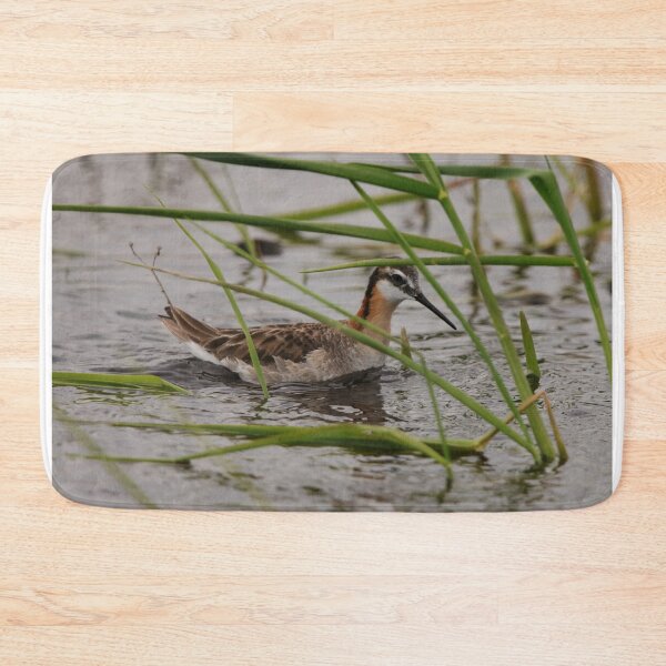 Item preview, Wilson's Phalarope designed and sold by Alyce Taylor.