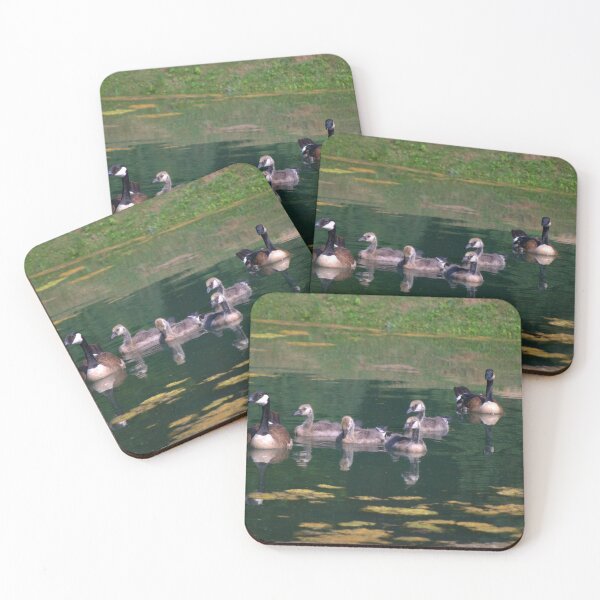 Item preview, canada goose family on pond designed and sold by GaryR46953.