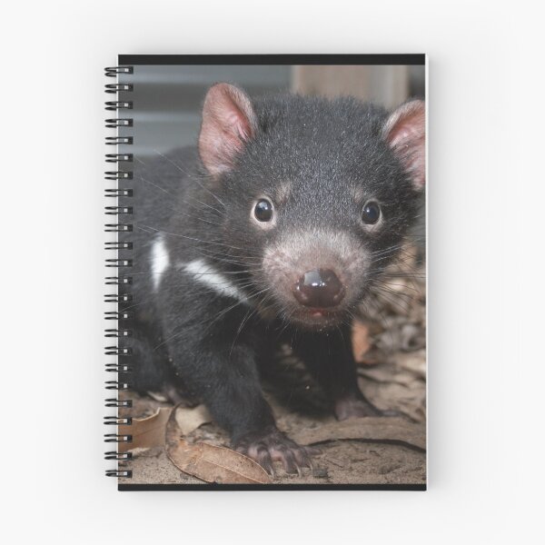 Item preview, Baby Tasmanian devil designed and sold by Georgina Andersen.