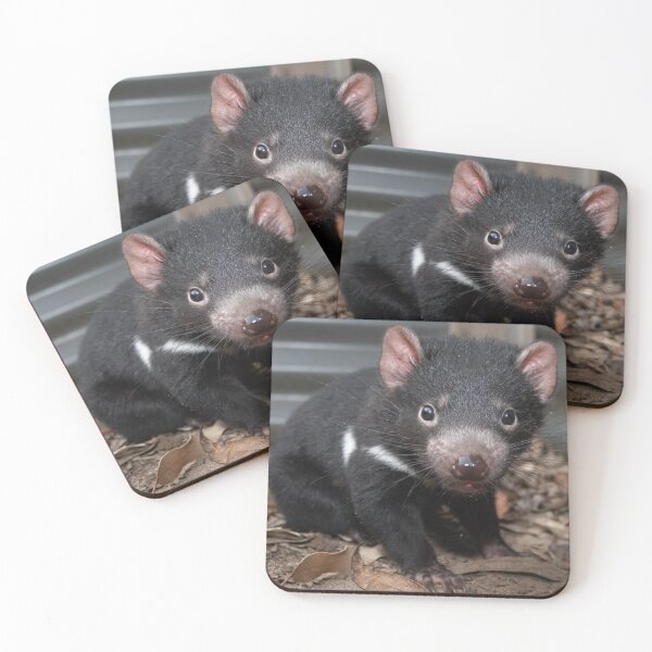 Item preview, Baby Tasmanian devil designed and sold by Georgina Andersen.