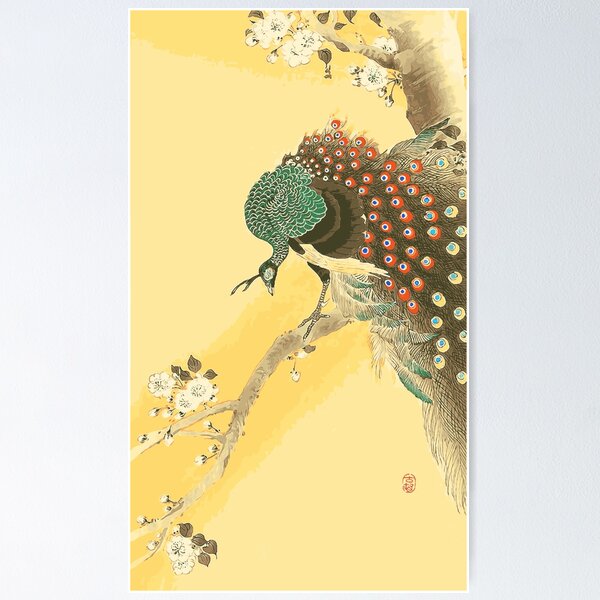 Item preview, Peacock on a Cherry Blossom Tree - Ohara Koson designed and sold by tsubadesigns.