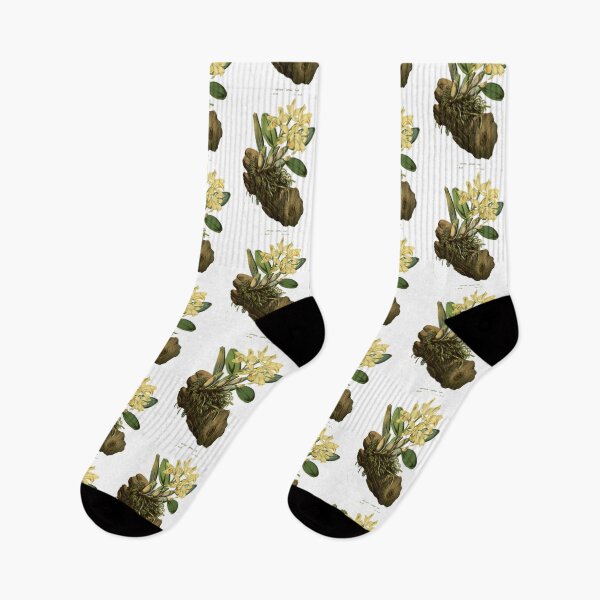 Item preview, Plant on bark with moss scientific study, illustration designed and sold by yourlocalltyler.