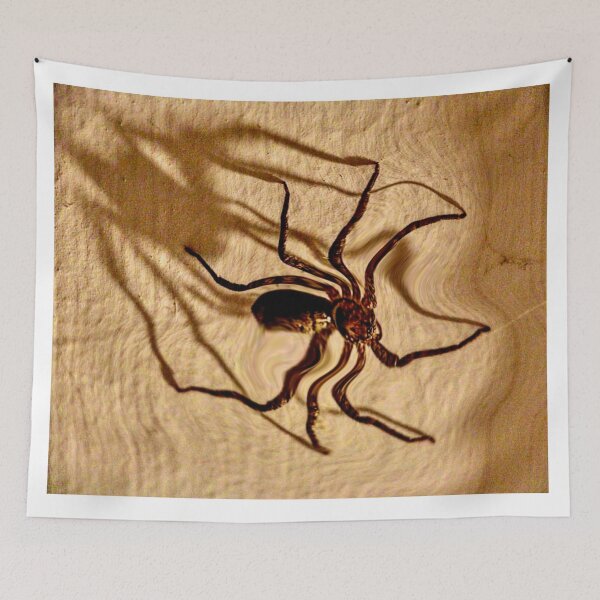 Item preview, Look out Spider ! designed and sold by Mickangelhere.