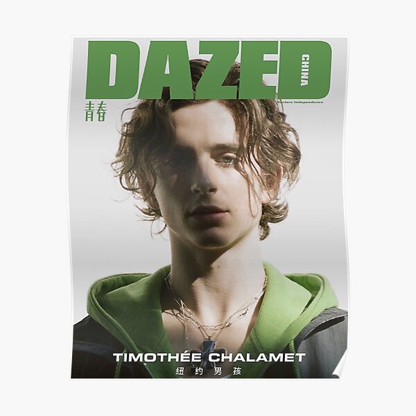 Timothee Chalamet Poster