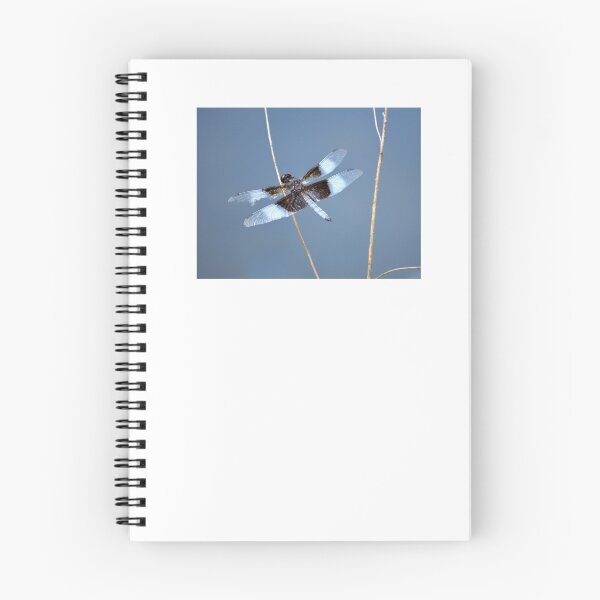 Item preview, good to have a spare set of wings... designed and sold by Laurie Minor.