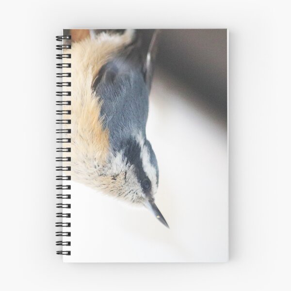 Item preview, Red Breasted Nuthatch designed and sold by Alyce Taylor.