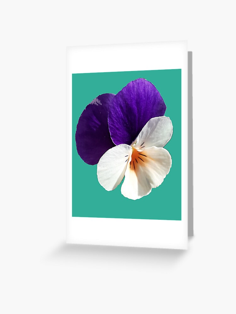 Tarjetas de felicitación «Pensamiento Flor Viola tricolor Pensamiento  Pensée» de josesita | Redbubble