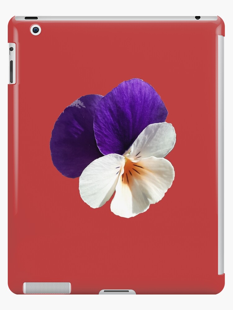 Funda y vinilo para iPad «Pensamiento Flor Viola tricolor Pensamiento  Pensée» de josesita | Redbubble