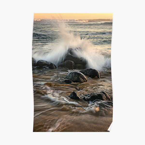 Splash! Poster