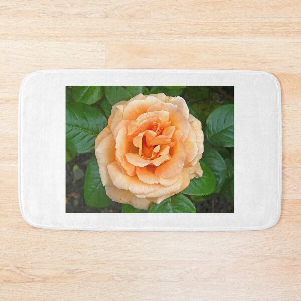 Item preview, Apricot Rose designed and sold by Graeme  Hyde.