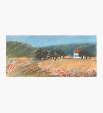 August Spaziergang Photographic Print