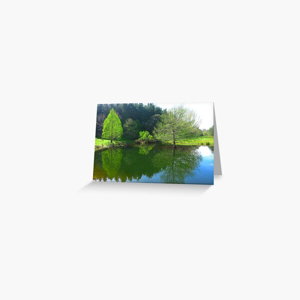 The Duck Pond - Robert Mann Greeting Card