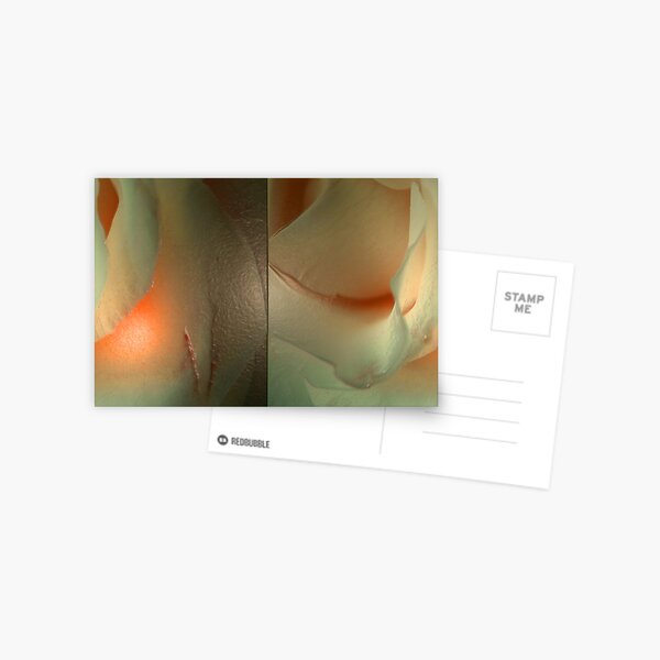 ALL I HAVE TO GIVE Postcard