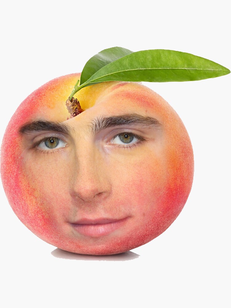 "Timothée Chalamet peach design" Sticker for Sale by Timotheedaddy Redbubble