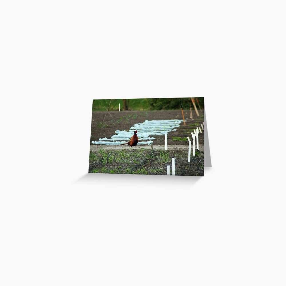 Item preview, Greeting Card designed and sold by steppeland.