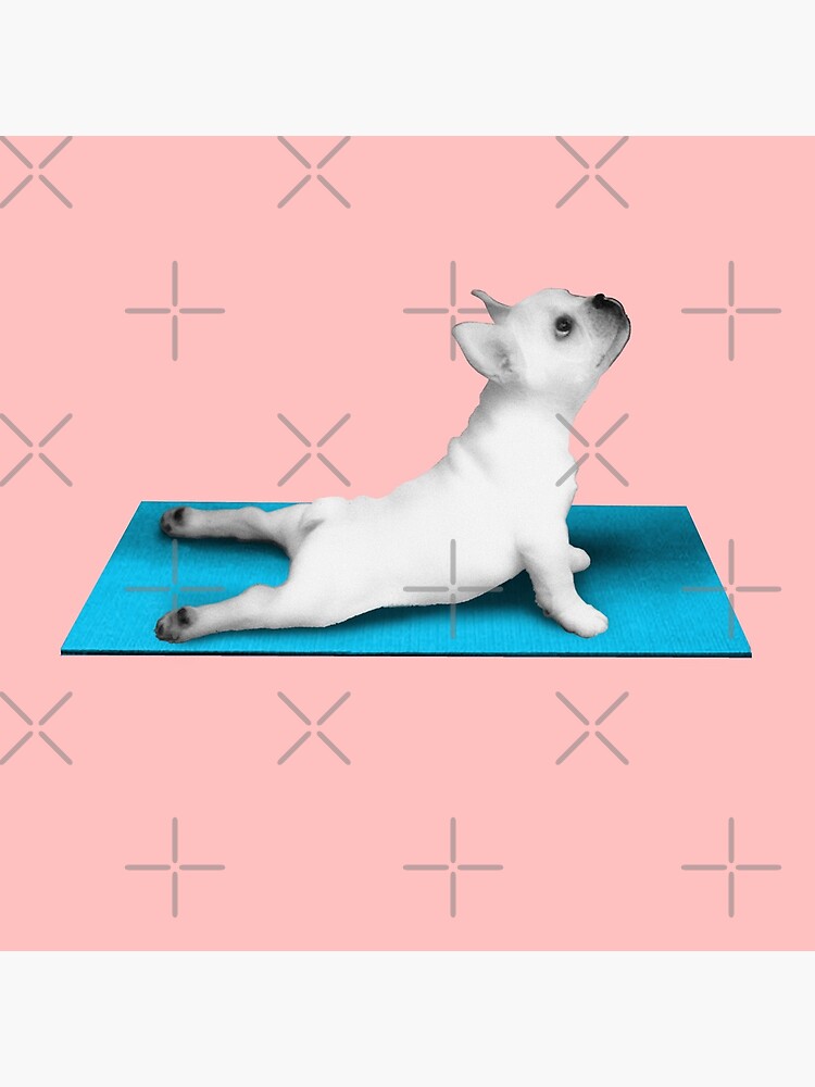 Yoga dog blue mat by revolutionaus