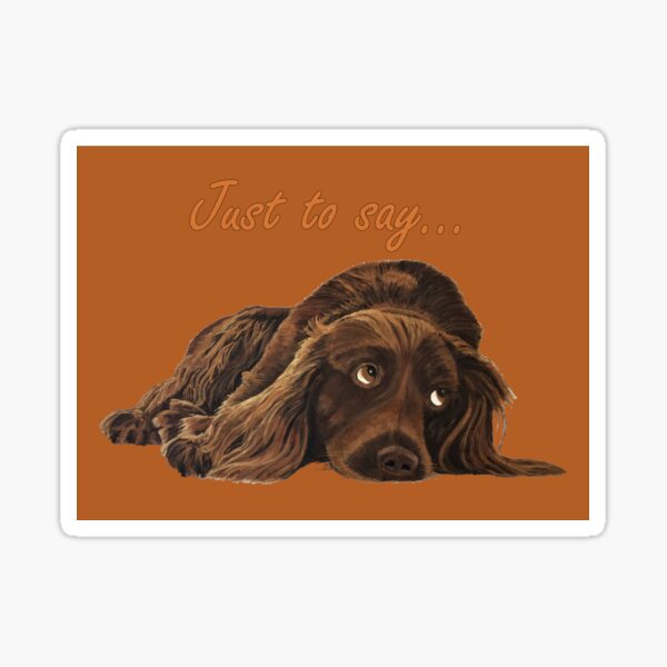 Appealing Spaniel - Just to Say Card Sticker
