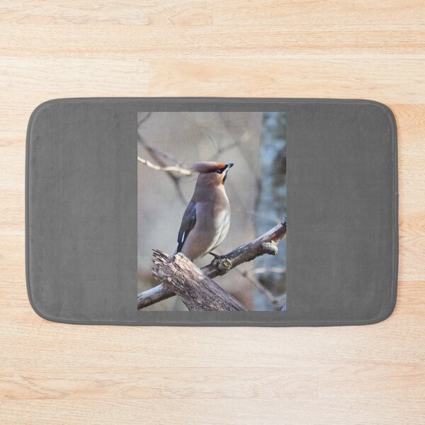 Item preview, Bohemian waxwing The bold one designed and sold by Jouko Lehto Photography.