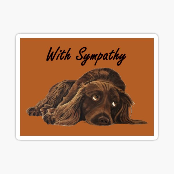 Appealing Spaniel - Sympathy Card Sticker