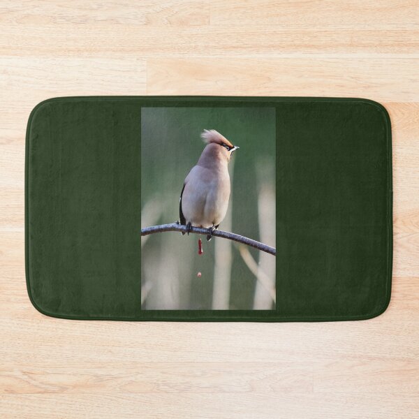 Item preview, Uups. Bohemian waxwing designed and sold by Jouko Lehto Photography.