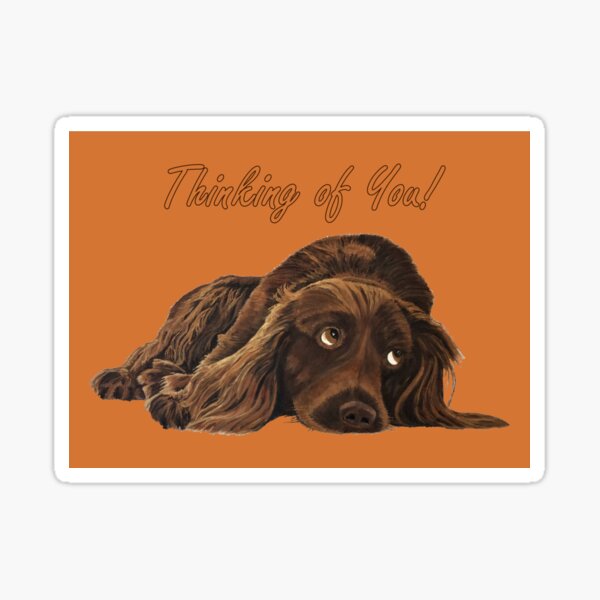 Appealing Spaniel - Thinking of You Card Sticker