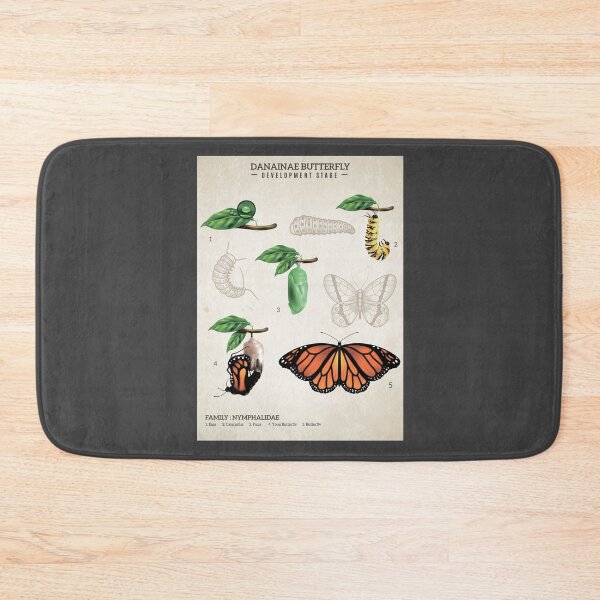 Item preview, Danainae Butterfly Development Stage designed and sold by MagicBoutique.