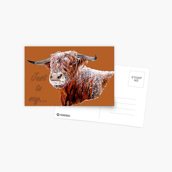 Snowy Highland Cow - Just to Say Card Postcard