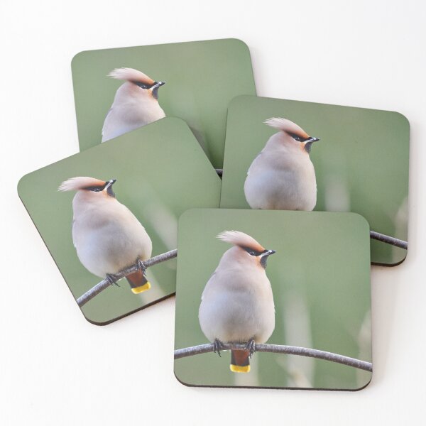 Item preview, Bohemian waxwing on green designed and sold by Jouko Lehto Photography.