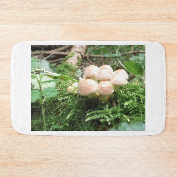 Item preview, Volksbolts/KABFA Designs, Mushrooms one in woodlands Ridge Lane Nuneaton, By Miss K L Slomczynski designed and sold by KABFA Designs.