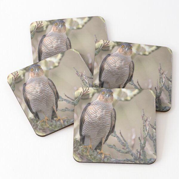 Item preview, Sparrowhawk designed and sold by LaurenTucker.
