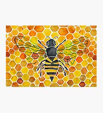 Honeybee Photographic Print