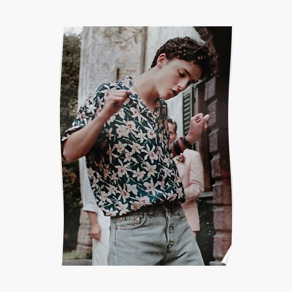 timothee chalamet Poster