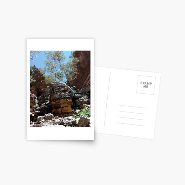 Karaballi National Park @ Z-bend Postcard