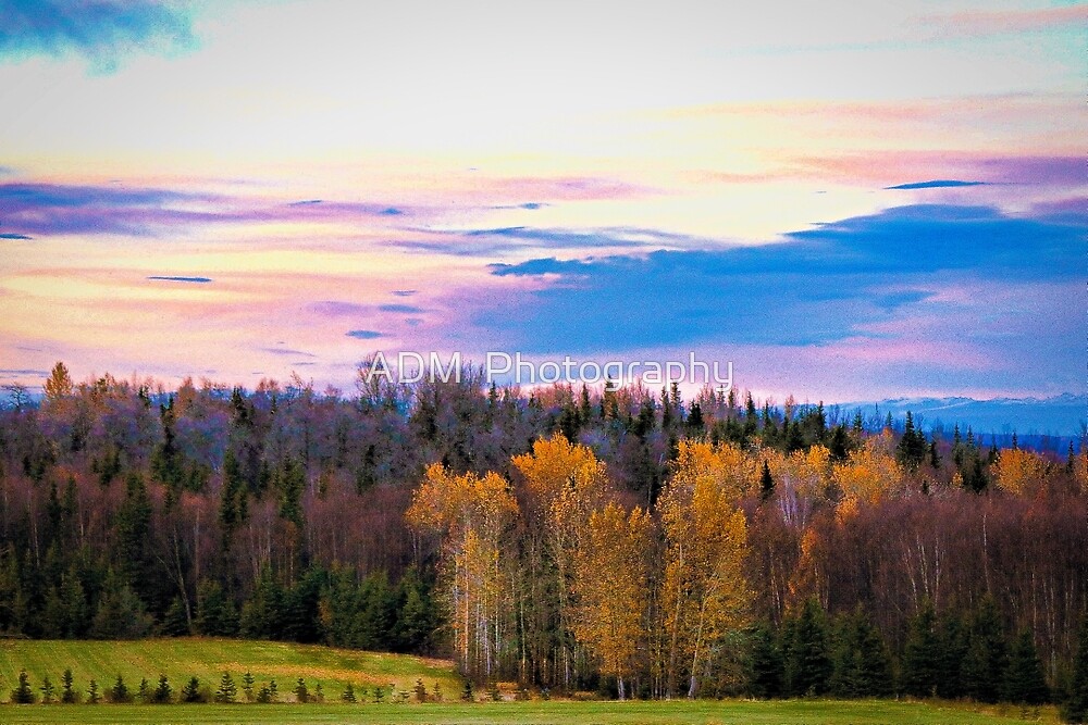 "Kincaid ParkAnchorage, Alaska" by ADM Photography Redbubble