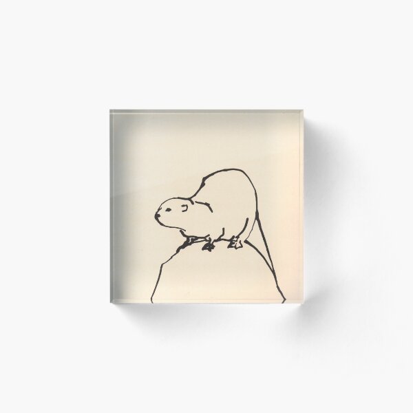 Otter on a rock by Sophie Neville Acrylic Block
