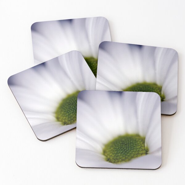 Item preview, White daisy designed and sold by JeanKellyPhoto.
