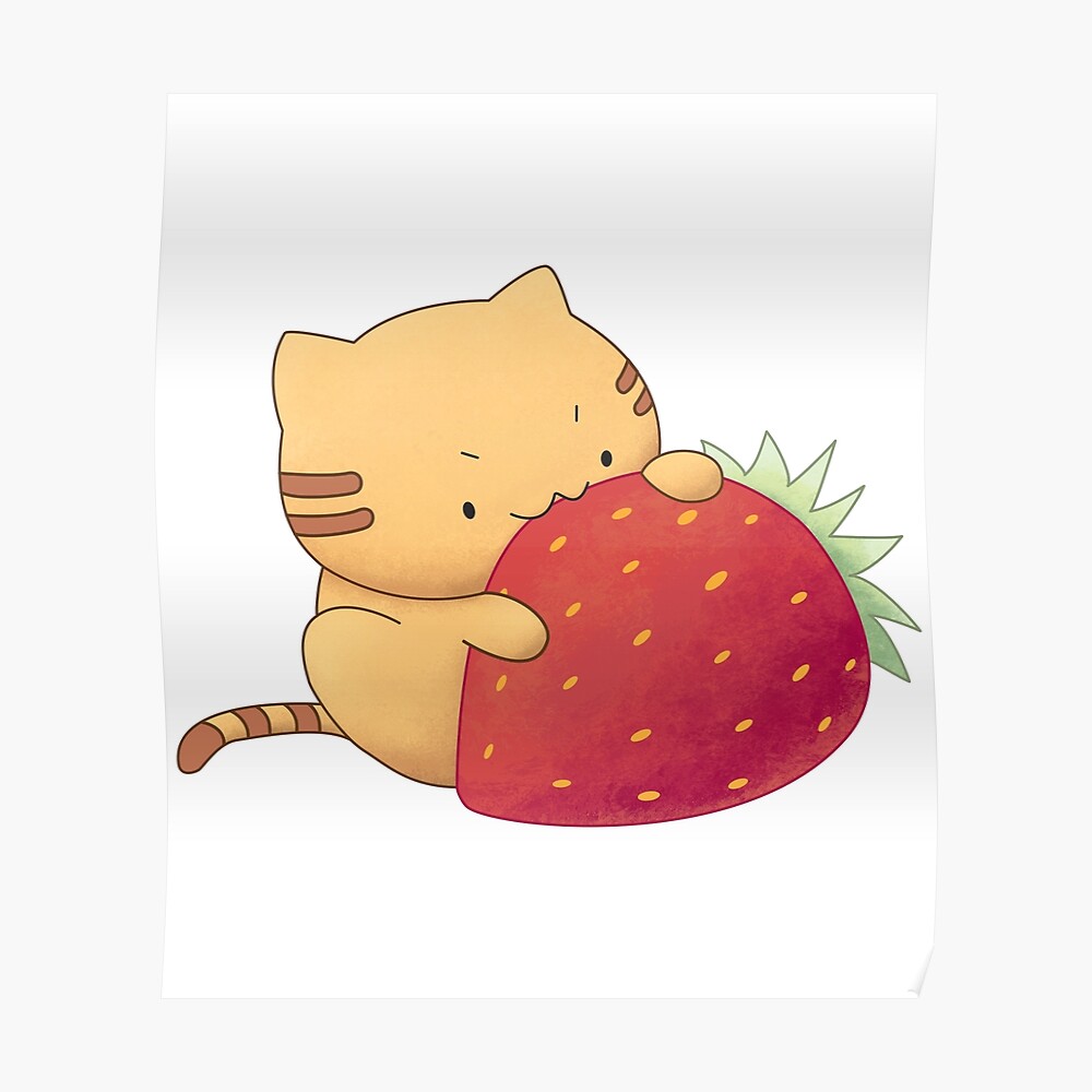 Strawberry tabby