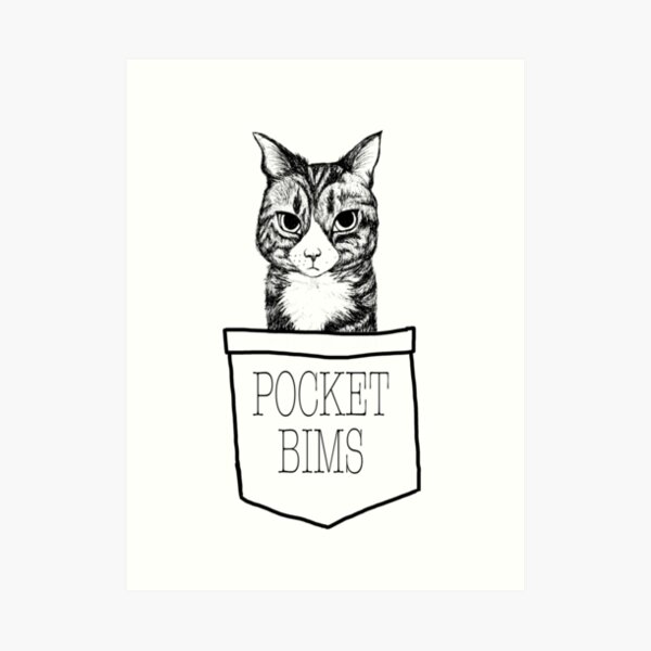Pocket Bims Art Print