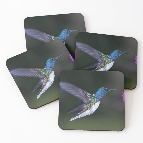 Item preview, White Necked Jacobin Hummingbird designed and sold by Glenn Welch.