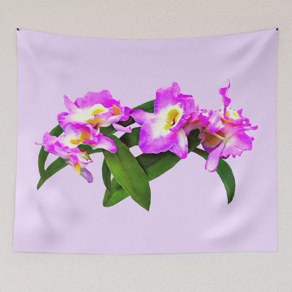 Item preview, Dendrobium Angel Moon 'Love Letter' designed and sold by Susan Savad.