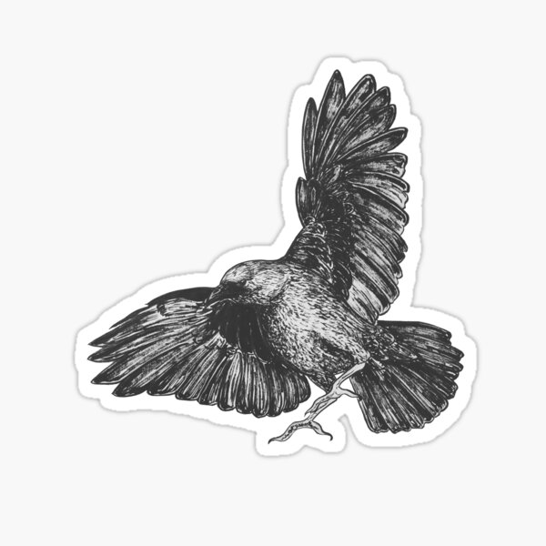 Flying Crow Sticker