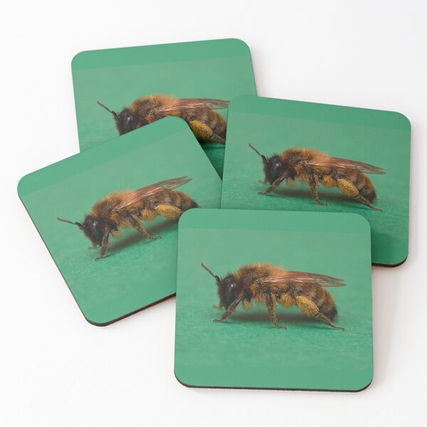 Item preview, Mining Bee - Andrena nigroaenea designed and sold by Dan Newton.