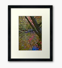 Impressionist Reflection Framed Print
