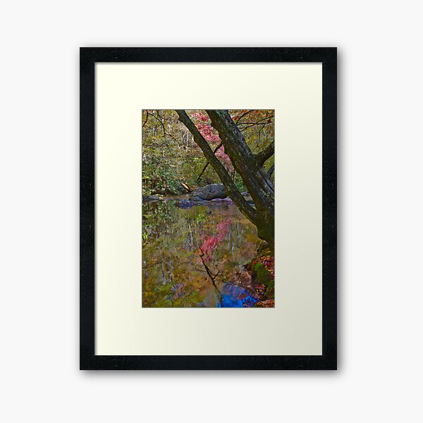 Impressionist Reflection Framed Art Print