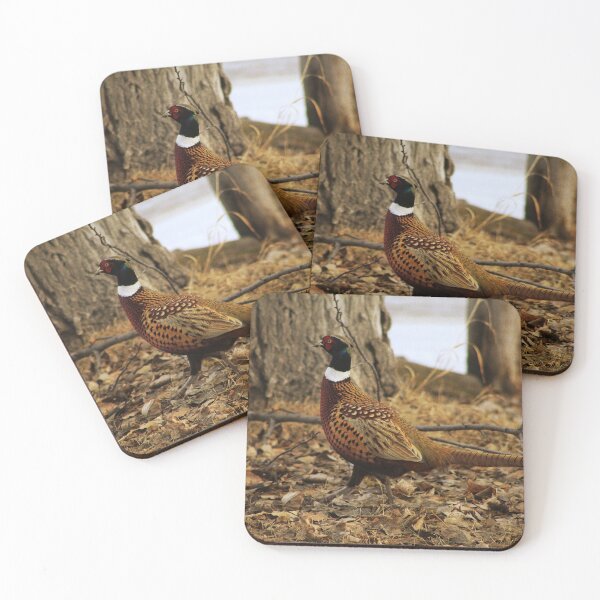 Item preview, Ring-necked Pheasant designed and sold by Alyce Taylor.