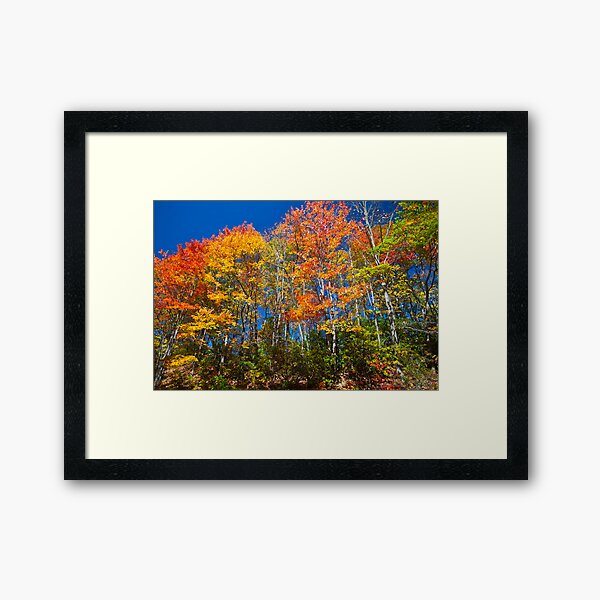 What Color Would You Like? Framed Art Print